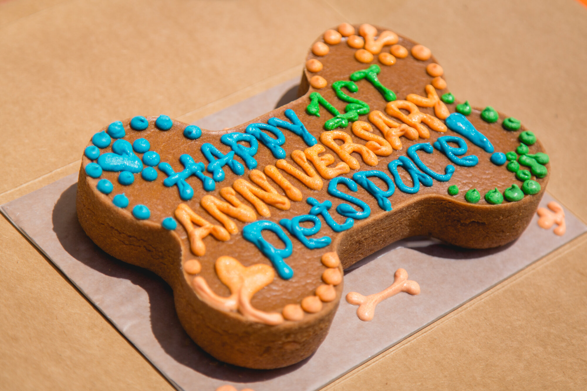 PetSpace AnniFURsary